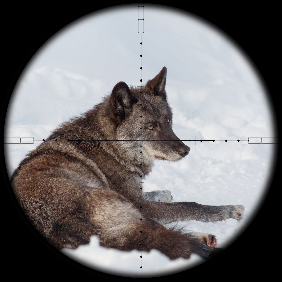 Sapack optic scope 1.2-6X20 Tactical Riflescope Cross Sight with One-piece strong mount for Hunting Sniper Airsoft Air Guns